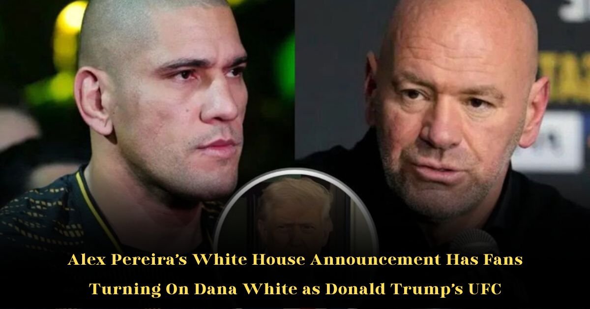 Your paragraph text 29 2