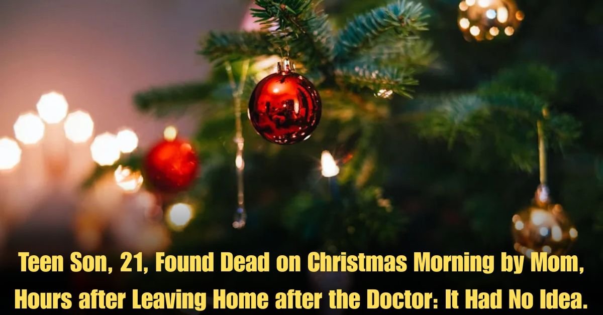 Teen Son, 21, Found Dead on Christmas Morning by Mom, Hours after Leaving Home after the Doctor: It Had No Idea.