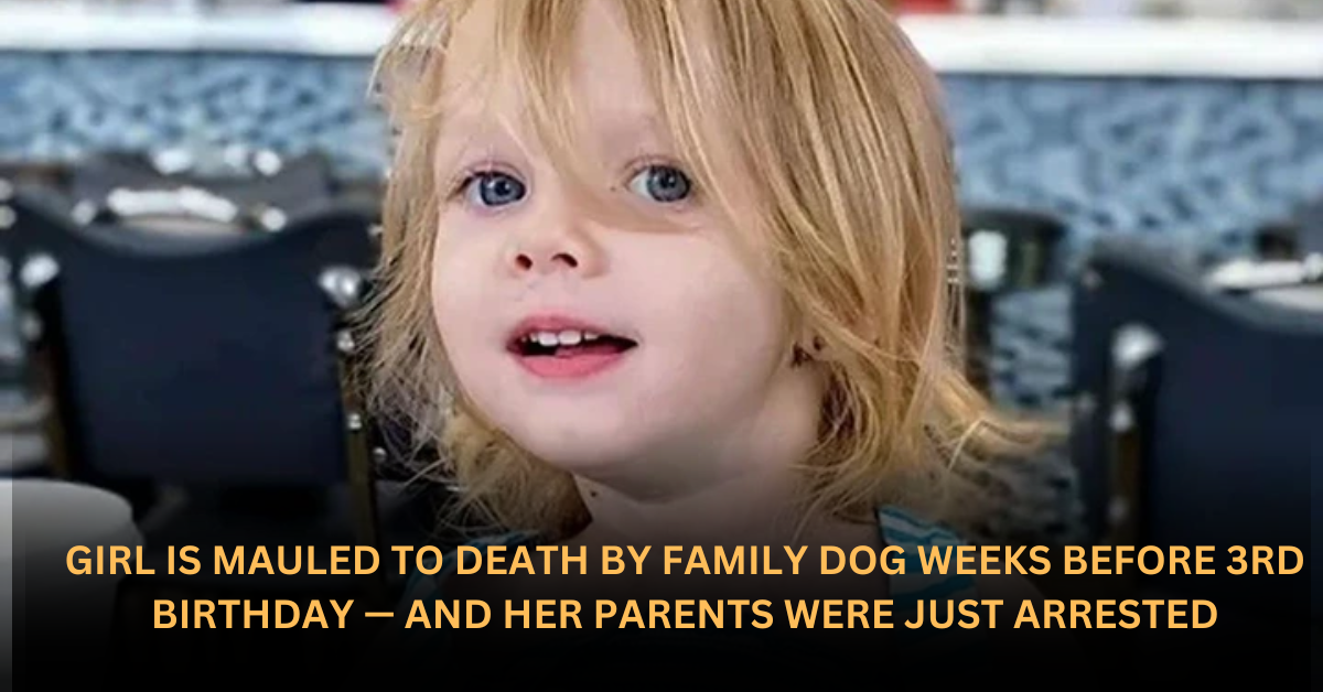 Voyage en peniche avec Bruno Podalydes Chaque matin apres une nuit confortable un paysage different soffre a nous 97