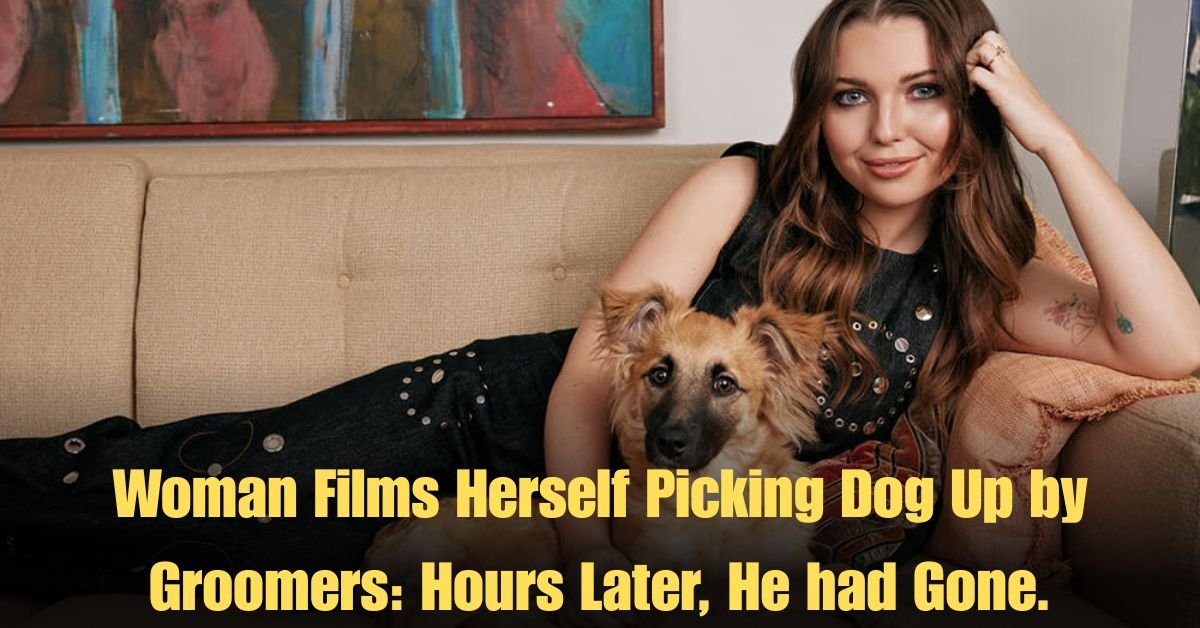 Woman Films Herself Picking Dog Up by Groomers: Hours Later, He had Gone.
